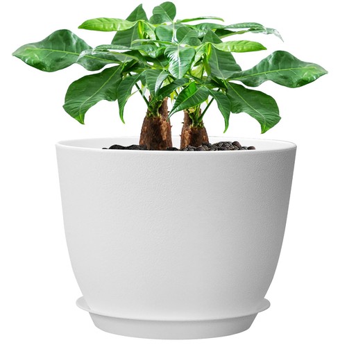 12inch large plant pot - 12inch,