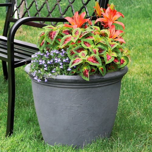 Anjelica large plastic - anjelica,
