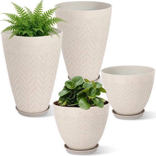 Neoaider set tall - of,